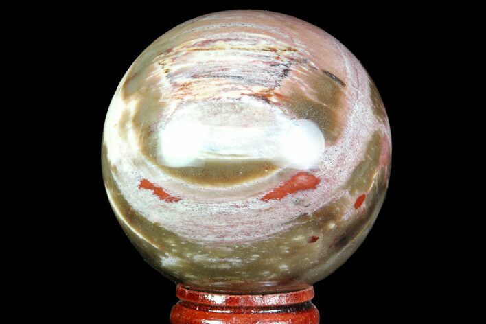 Colorful Petrified Wood Sphere - Madagascar #71547